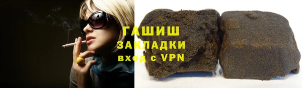 шишки Осташков
