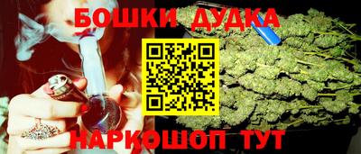 дживик Кингисепп
