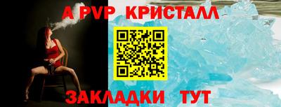 дживик Кингисепп