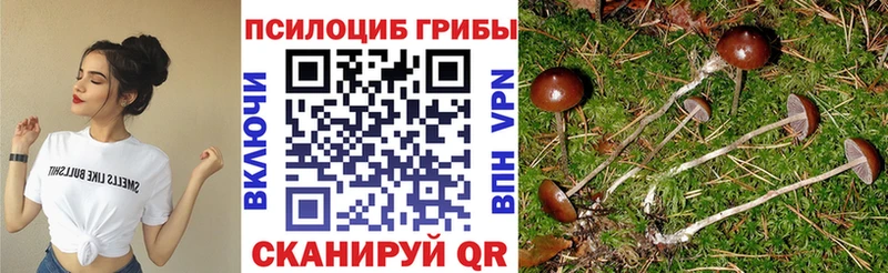 Псилоцибиновые грибы прущие грибы  наркошоп  Нурлат 