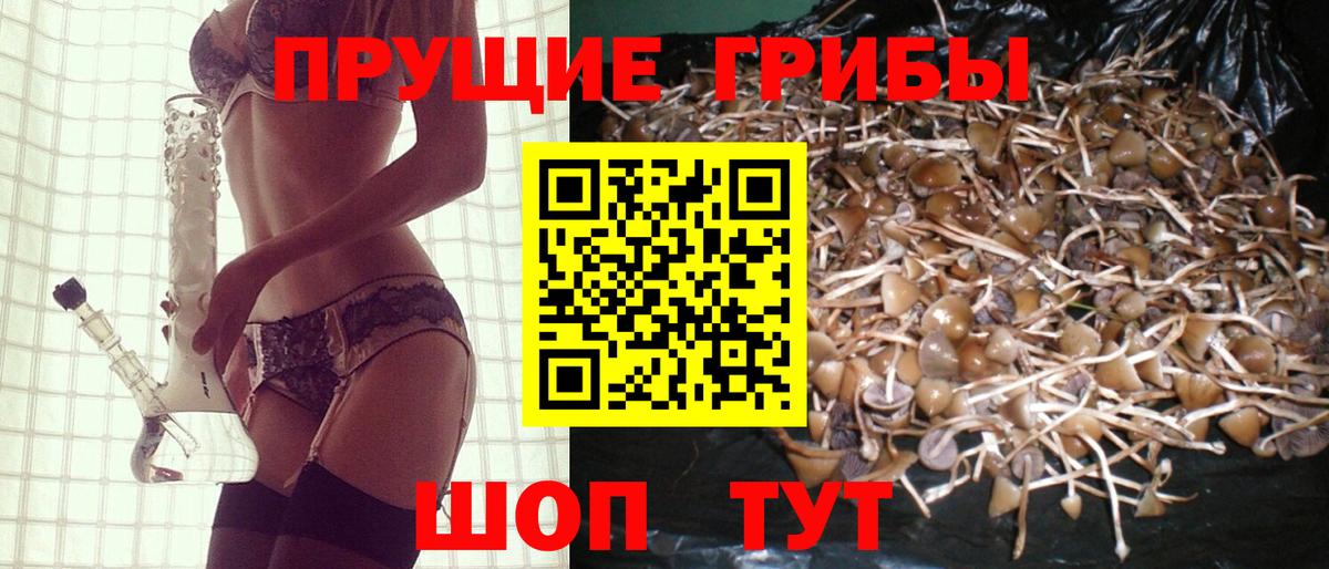 Галлюциногенные грибы ЛСД  Вход с VPN  Нурлат  Галлюциногенные грибы Psilocybe 