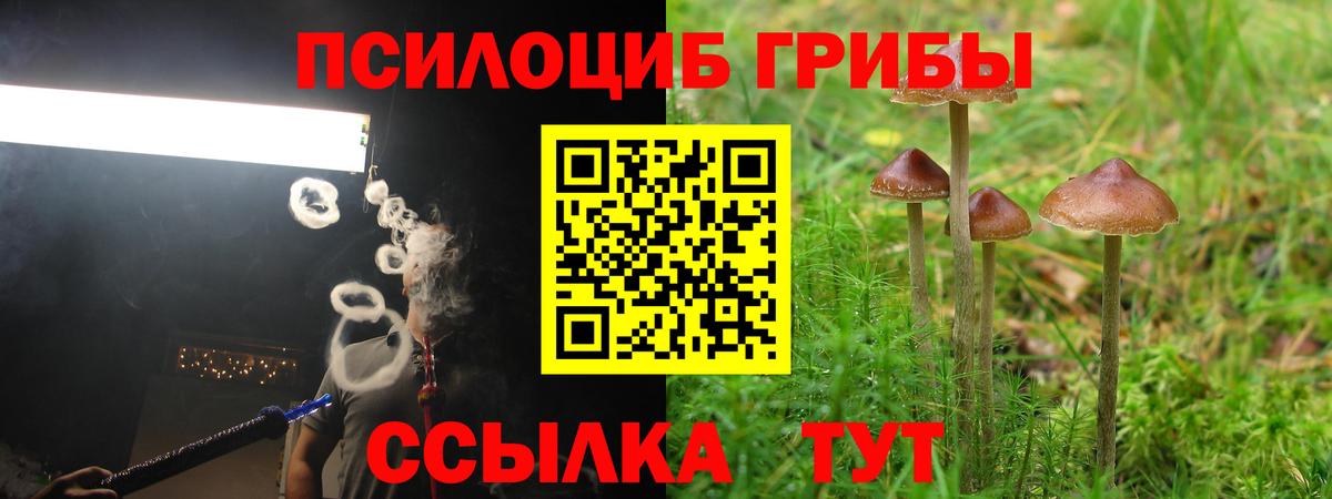 Псилоцибиновые грибы MAGIC MUSHROOMS Нурлат