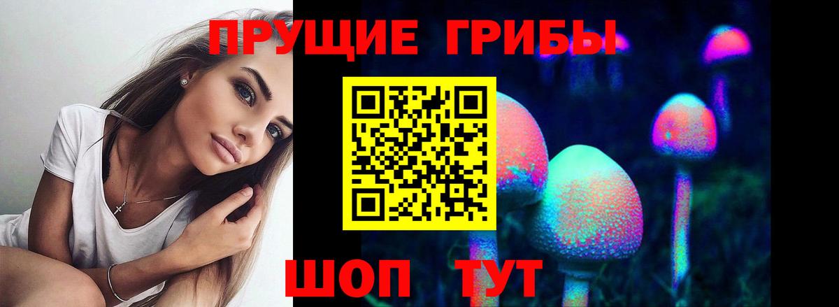 Галлюциногенные грибы Psilocybine cubensis Нурлат